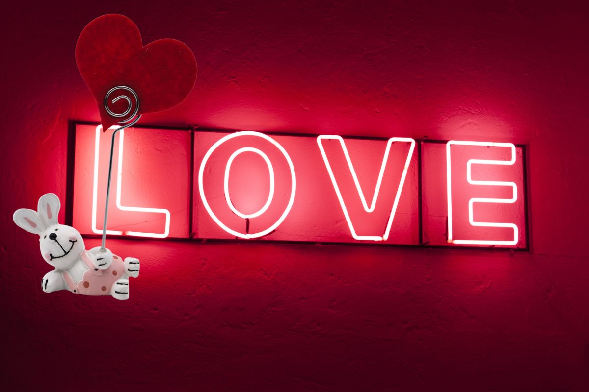 प्रतिकात्मक फोटो