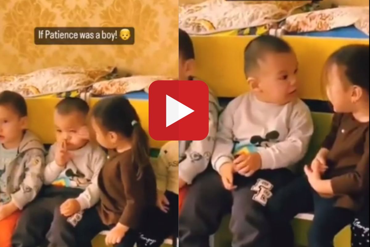 क्यूट व्हिडीओ