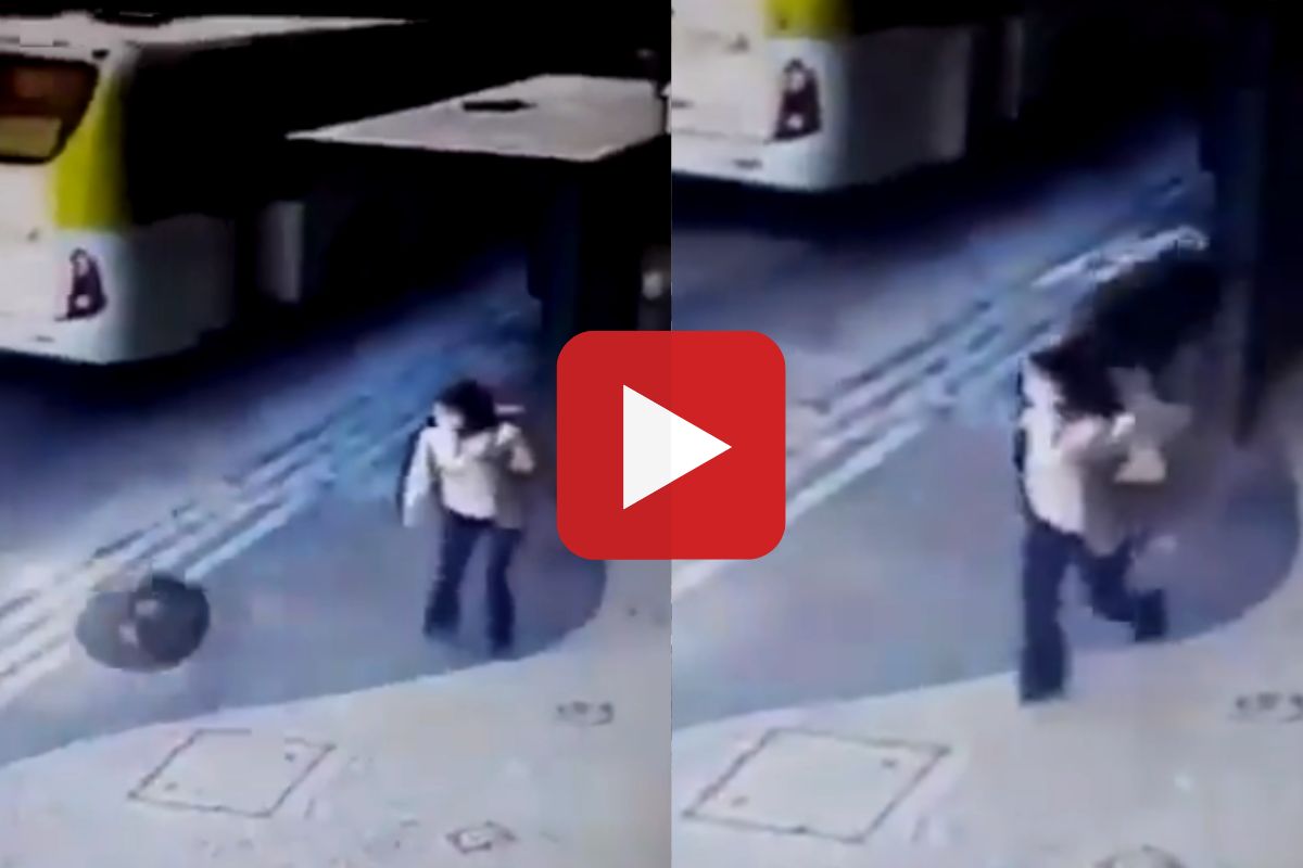 व्हायरल व्हिडीओ