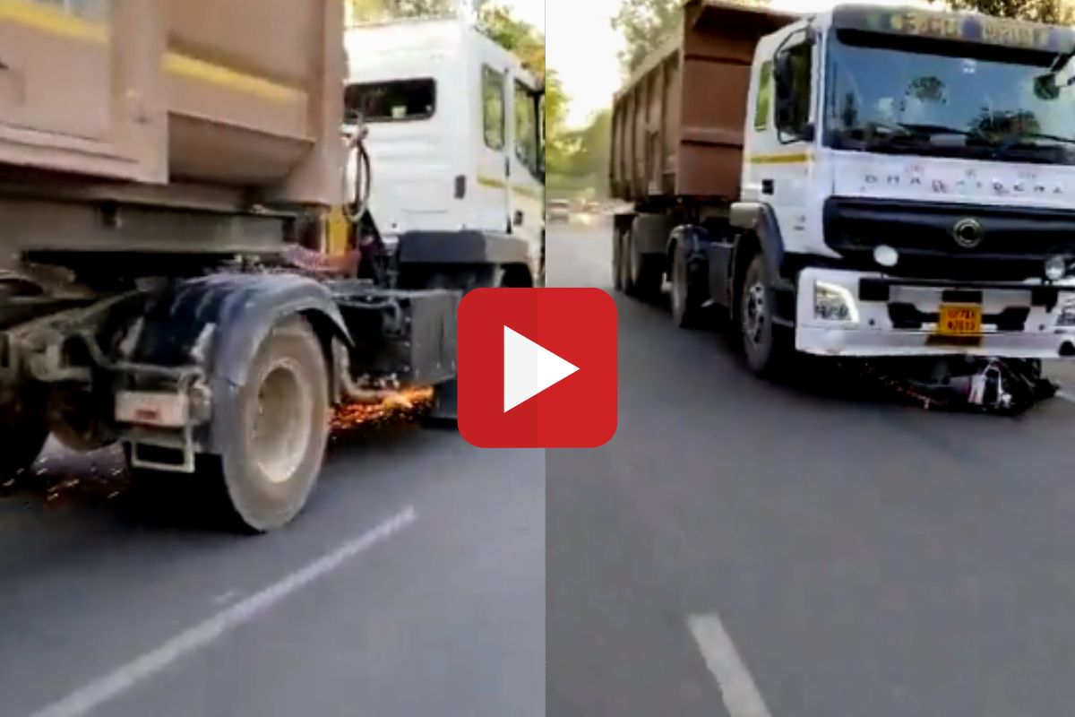 व्हायरल व्हिडीओ