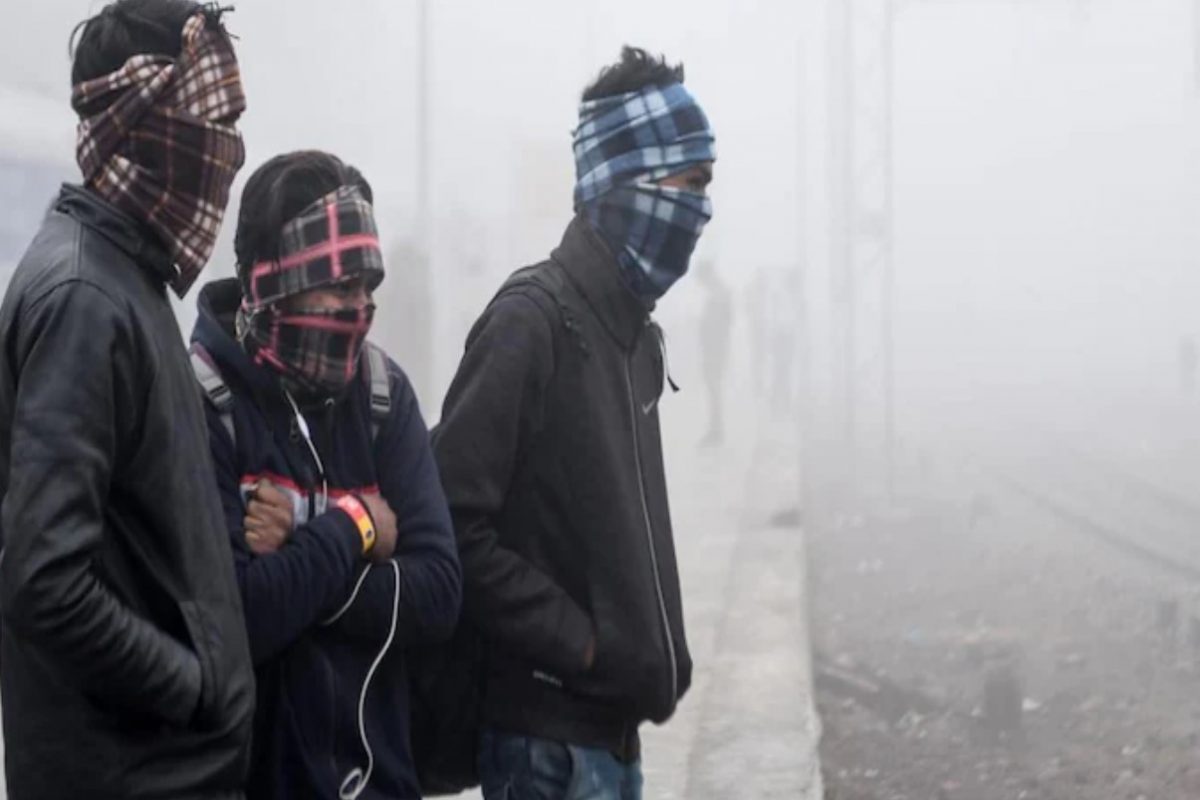 Maharashtra Weather Cold Wave : राज्यात 5 अंशांनी पारा घसरला, पुणे, जळगावसह विदर्भात थंडीची लाट येणार