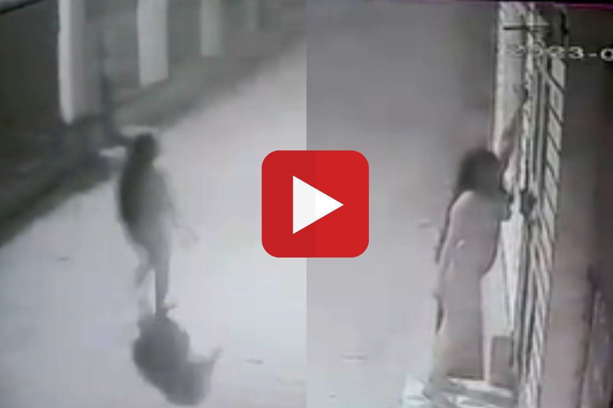 व्हायरल व्हिडीओ