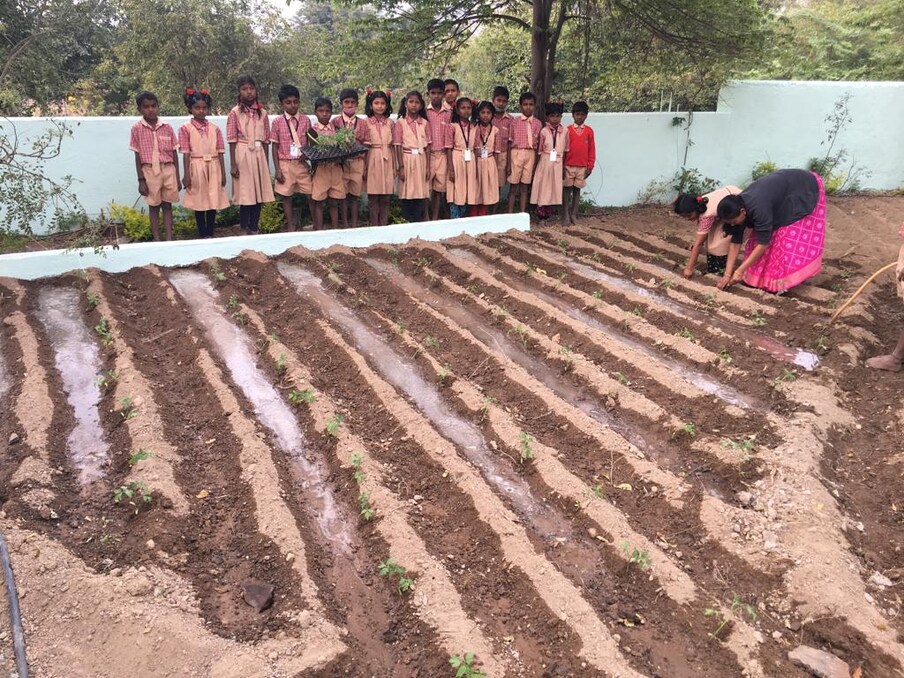 वाफे तयार करत कांदा, लसूण, बटाटा, मुळा, टोमॅटो, फ्लॉवर, कोथिंबीर, मिरची आदी पिकांची लागवड केली. विद्यार्थी स्वतःहून सहभागी झाले.