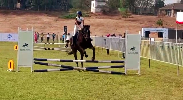  <a href="https://lokmat.news18.com/maharashtra/kolhapur/" target="_blank">कोल्हापूरमध्ये </a>सुरू असलेल्या रॉयल हॉर्स शोमध्ये रुबाबदार घोड्यांची साहसी प्रात्याक्षिकं पाहायला मिळाली.