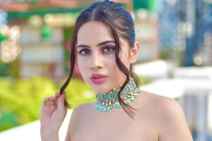 उर्फी जावेद जाहिराती आणि सोशल मीडियाच्या माध्यमातून लाखो रुपये कमावते. तिचे तीन लाखांहून अधिक फॉलोअर्स आहेत. 