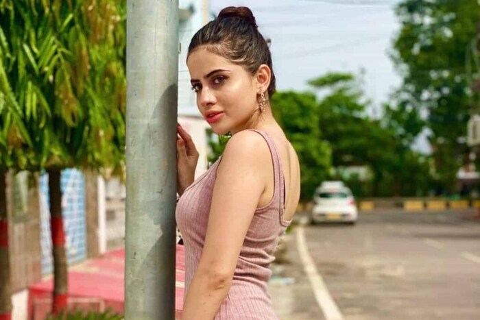 सोशल मीडिया सेन्सेशन उर्फी जावेदने नुकतीच एक आलिशान कार खरेदी केली आहे. ही उर्फीची दुसरी कार आहे. याची किंमत लाखांमध्ये आहे. पण उर्फी एवढे पैसे नक्की कमावते कुठून याचं उत्तर आज आम्ही तुम्हाला देणार आहोत. 