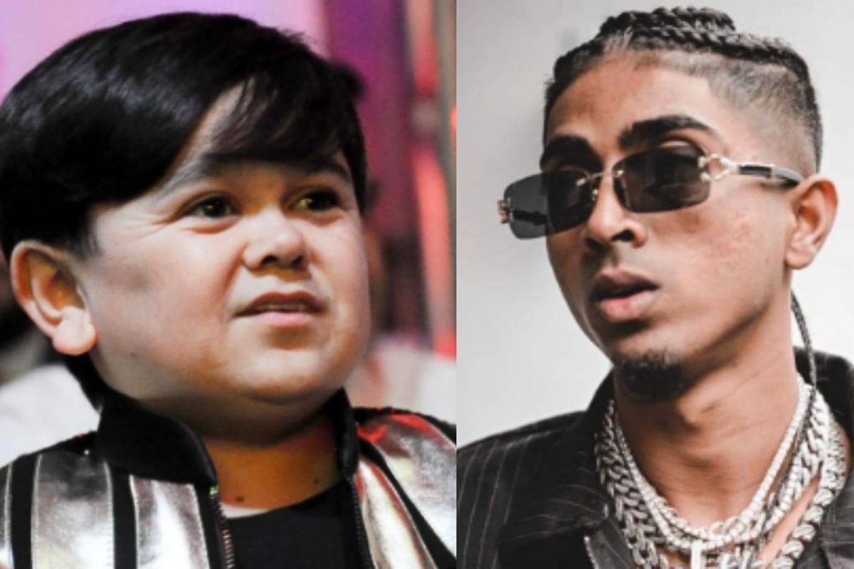 'शिवीगाळ केली, गाडी फोडली' अब्दू रोजिकच्या गंभीर आरोपांवर एमसी स्टॅनचं प्रत्युत्तर; म्हणाला 'हा मूर्खपणा...'