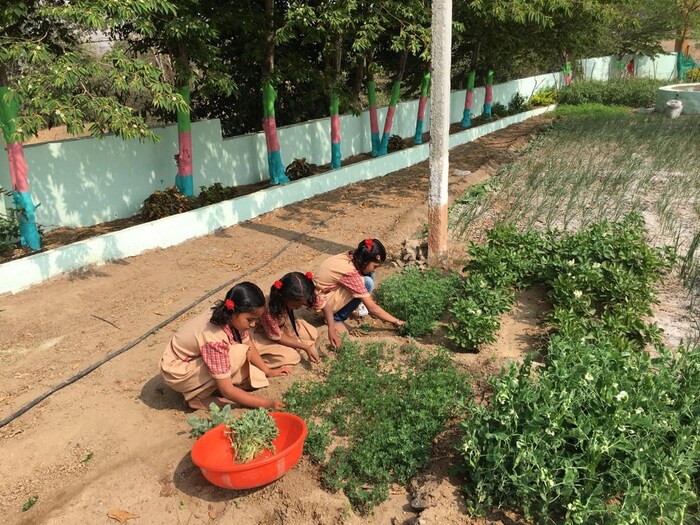 शालेय शिक्षणाबरोबरच विद्यार्थ्यांत श्रमप्रतिष्ठेचे मूल्य रुजविण्यासाठी शाळेत परसबाग ही संकल्पना राबविण्यात आली. त्यामुळे विद्यार्थ्यांना शेतीविषयक गोडी निर्माण झाली. 