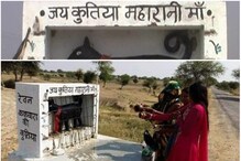 Photos: 'जय कुतिया महारानी मां', पाहा, या अनोख्या मंदिराचे फोटो Photos: 'जय कुतिया महारानी मां', पाहा, या अनोख्या मंदिराचे फोटो