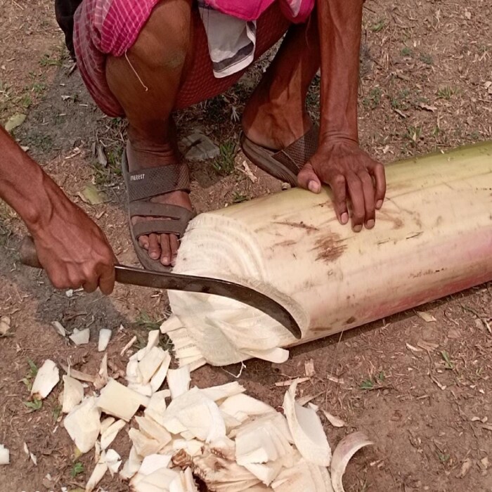 केळीची पाने विशेषत: मधुमेहींसाठी फायदेशीर असतात. केळी, केळीची पानं याप्रमाणे केळीचे खोडही तुम्हाला भयंकर रोगापासून वाचवू शकते हे तुम्हाला माहीत आहे का? चला जाणून घेऊया. 