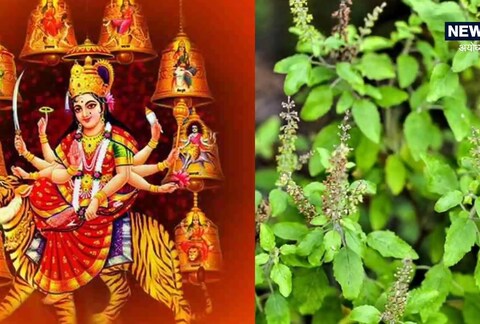 चैत्र नवरात्रीतील तुळशीचे उपाय
