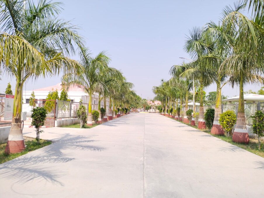 गुजरातमधील बनासकांठा जिल्ह्यातील डिसामधील स्मशान वेगळं आहे. हे स्मशान आता चक्क पिकनिक स्पॉट बनलं आहे. 