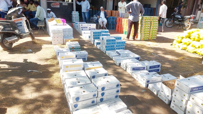 एक डझन देवगड हापूस आंब्यास 400 ते 1 हजार रुपये इतका भाव मिळाला. 