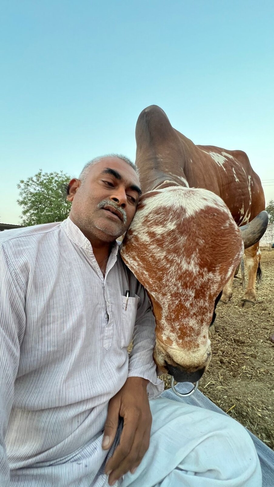 गिर गौ जातन संस्थेचे मालक रमेशभाई यांनी या संस्थेसाठी 1100 गायींचा कळप तयार करण्याची योजना आखली आहे. या नंदीच्या माध्यमातून गायींच्या उत्पादनात वासराची निर्मिती केल्यास त्याची रोग प्रतिकारशक्ती चांगली राहून ते अधिक दूध देते. यासोबतच या नंदीपासून जन्माला येणाऱ्या वासरालाही भविष्यात नंदी बनवता येईल.