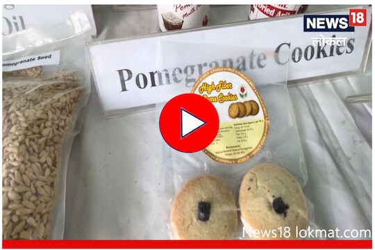 डाळिंबाचं बिस्किट कधी पाहिलंय? नव्या संशोधनाचा होणार शेतकऱ्यांना फायदा, Video