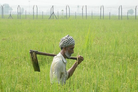 कोल्हापूरच्या ग्रामीण कृषी मौसम सेवा केंद्राकडून शेतकऱ्यांना महत्त्वाचा सल्ला देण्यात आला आहे. 