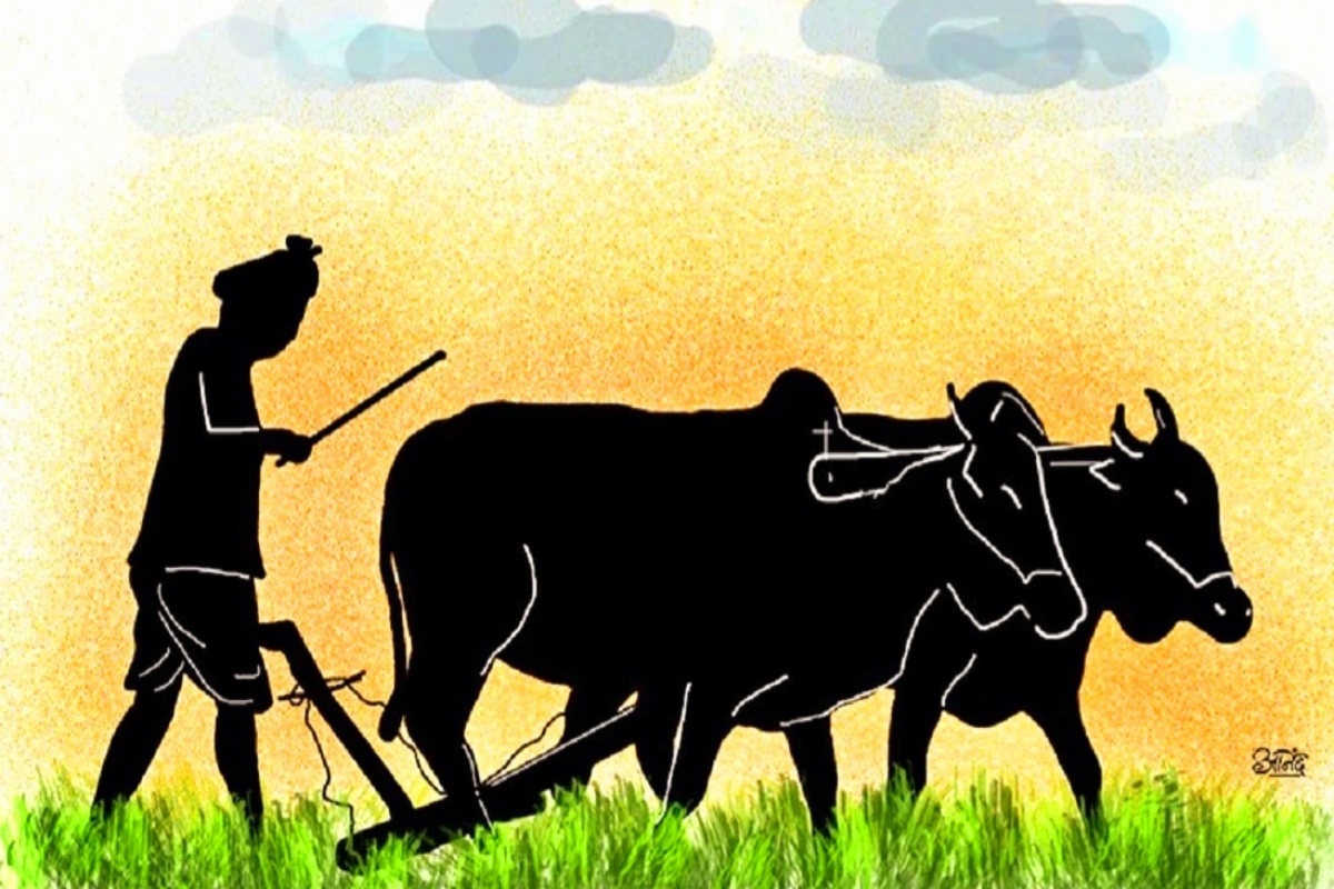 पावसाळी हवामानात कशी घेणार पिकांची काळजी? कृषी विभागानं दिल्या महत्त्वाच्या टिप्स