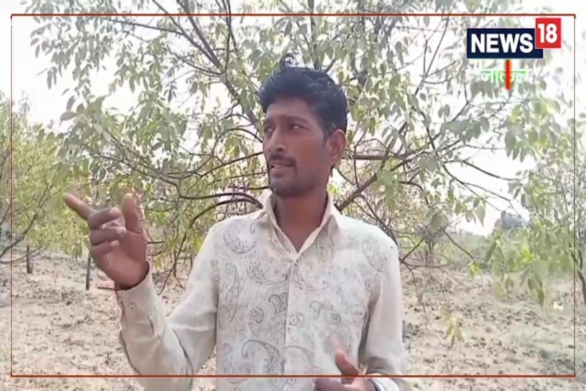 Success Story : 2 वेळा जेवणाची होती भ्रांत! सातवी पास तरुण 'या' शेतीच्या जोरावर झाला कोट्यधीश, Video