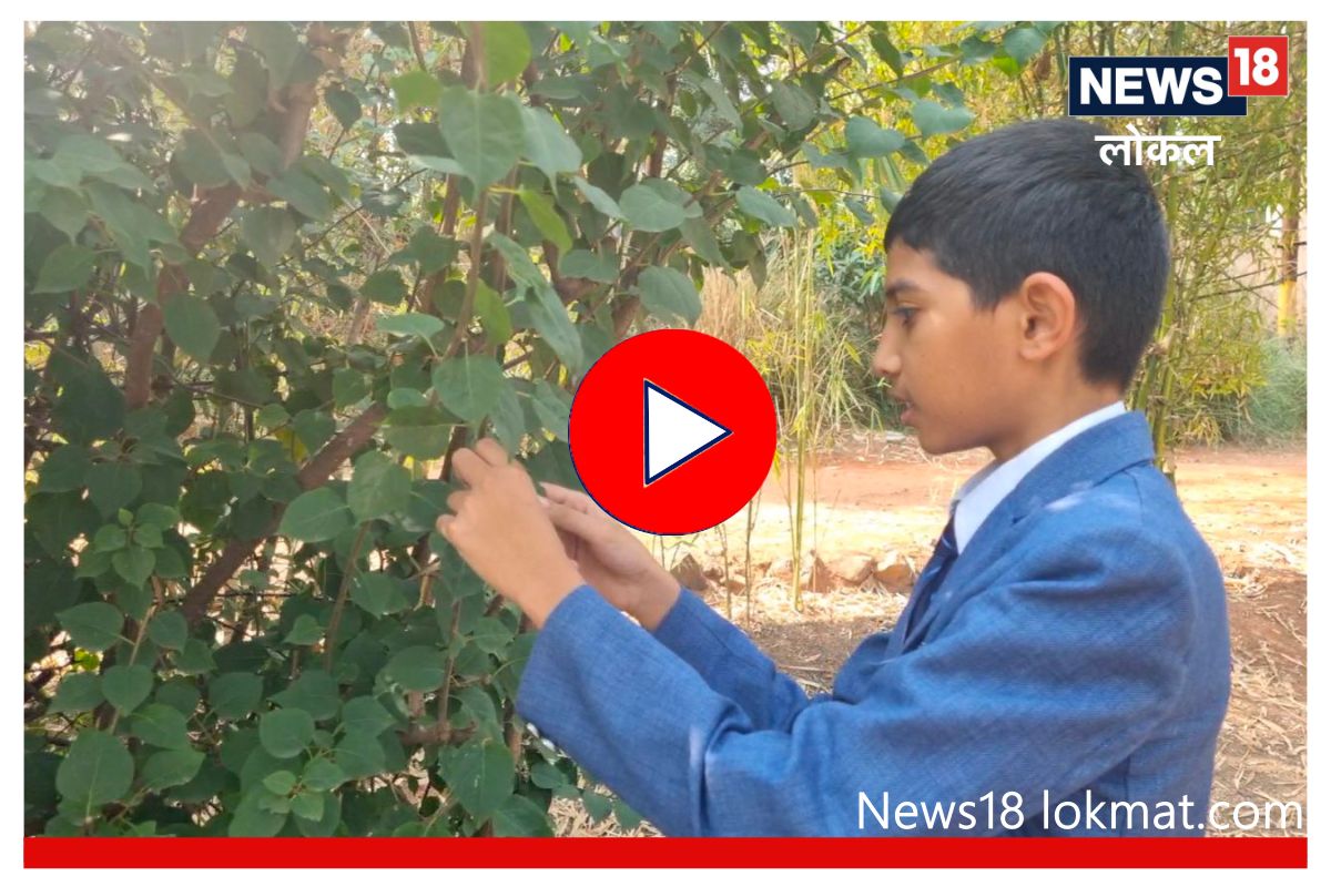 सहावीतील शास्त्रज्ञ! मियावाकी पद्धतीनं करतोय झाडं लावण्यावर संशोधन, पाहा Video