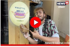 डान्स करत 'हॉट डॉग' विकणारा मुंबईकर तरुण आहे तरी कोण? पाहा Video