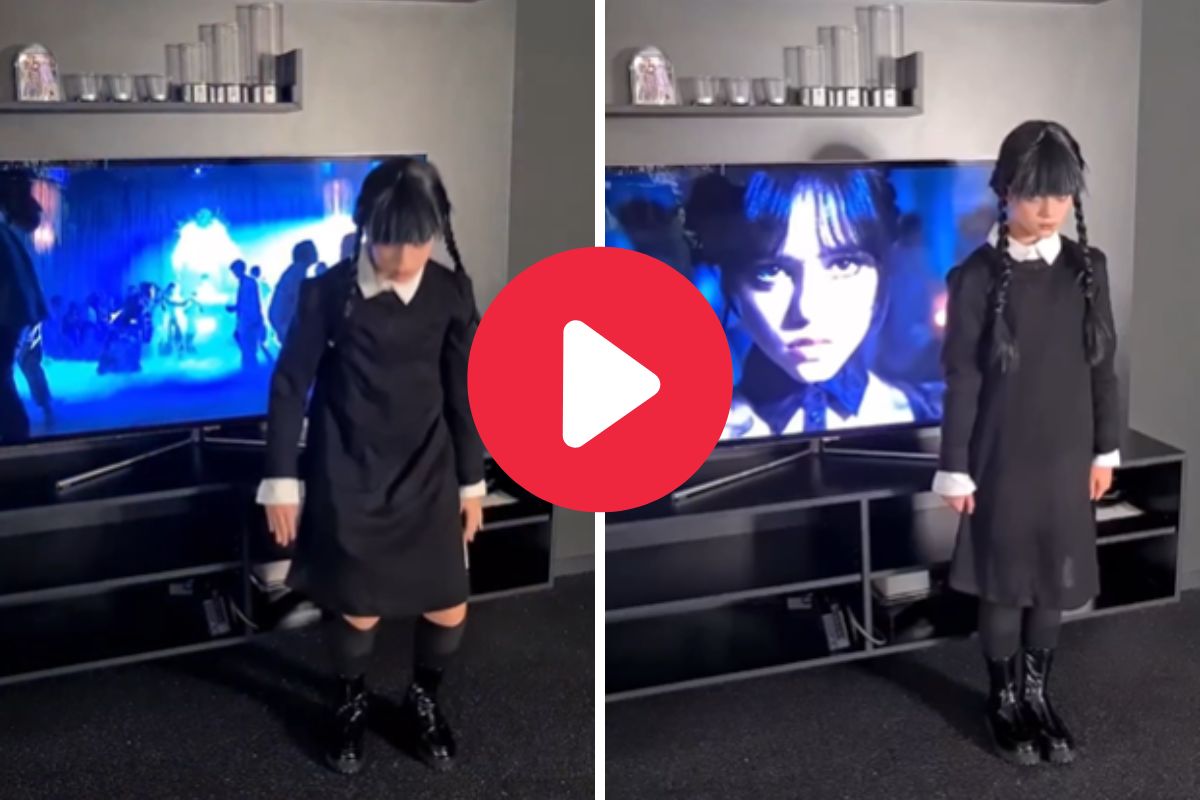 व्हायरल व्हिडीओ