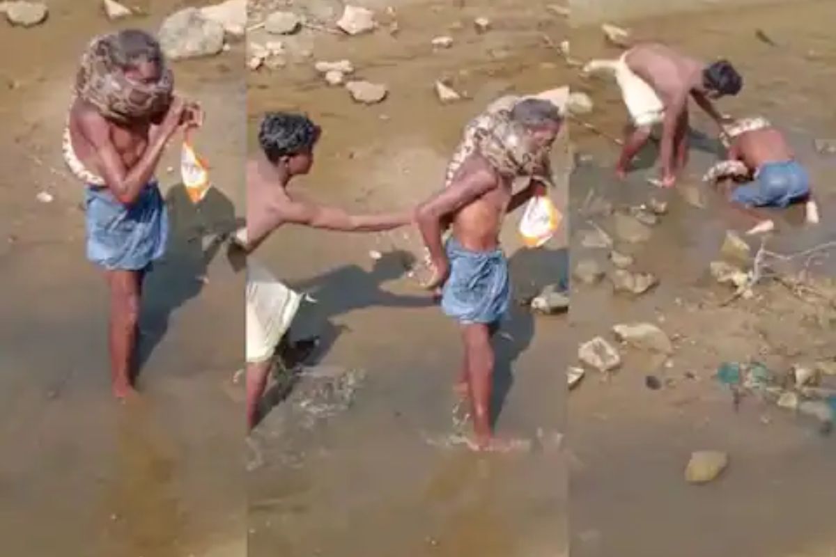 अजगराने घातला मानेला विळखा, वृद्ध जमिनीवर कोसळला तरी सोडलं नाही, थरकाप उडवणारा VIDEO