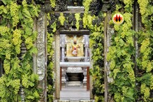 द्राक्षवेलीत नटली विठू-रखुमाई; आमलकी एकादशीनिमित्त गाभाऱ्यास द्राक्षांची आरास