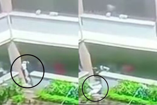 कॉलेजमध्ये विद्यार्थ्याचा मृत्यू