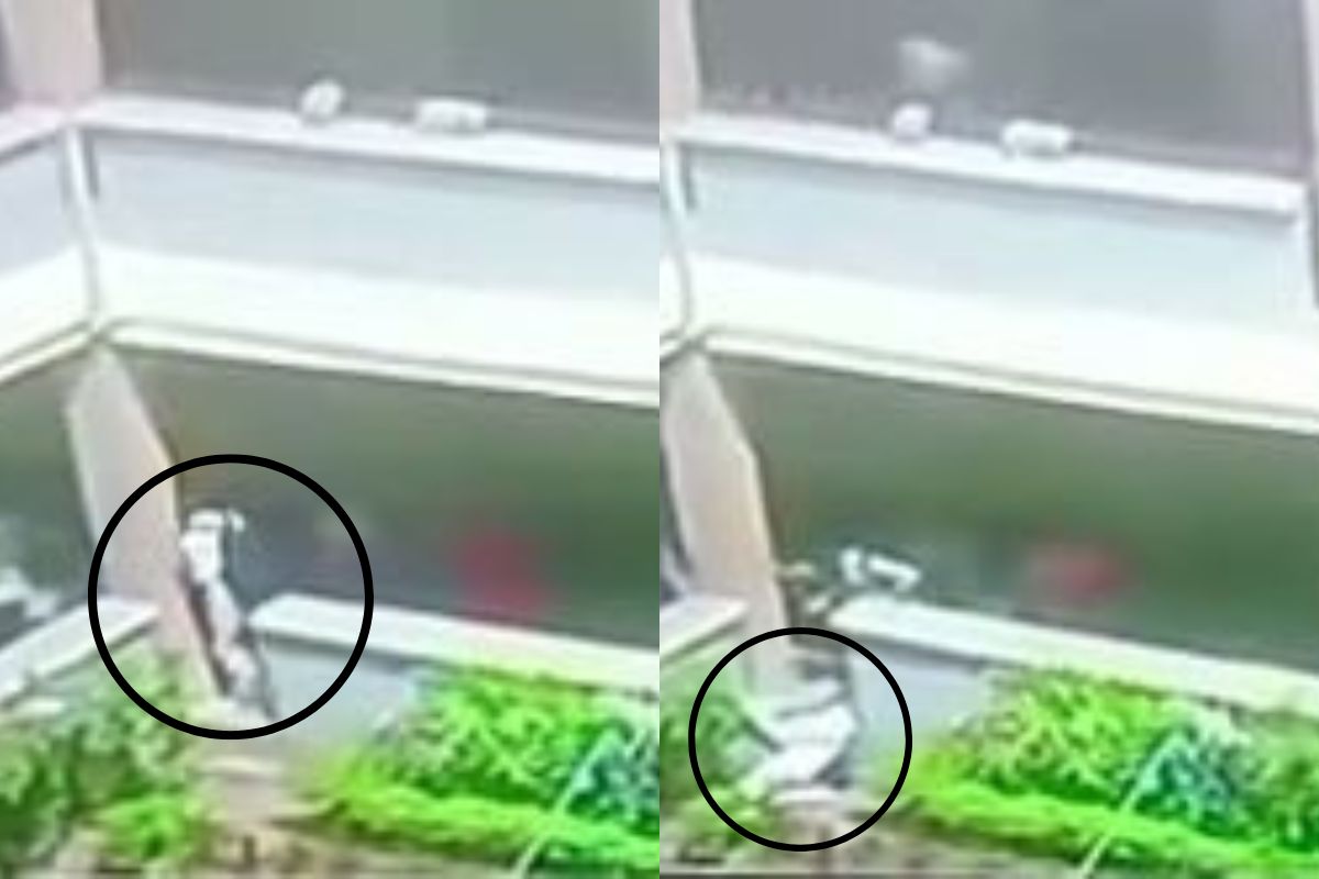 कॉलेजमध्ये विद्यार्थ्याचा मृत्यू