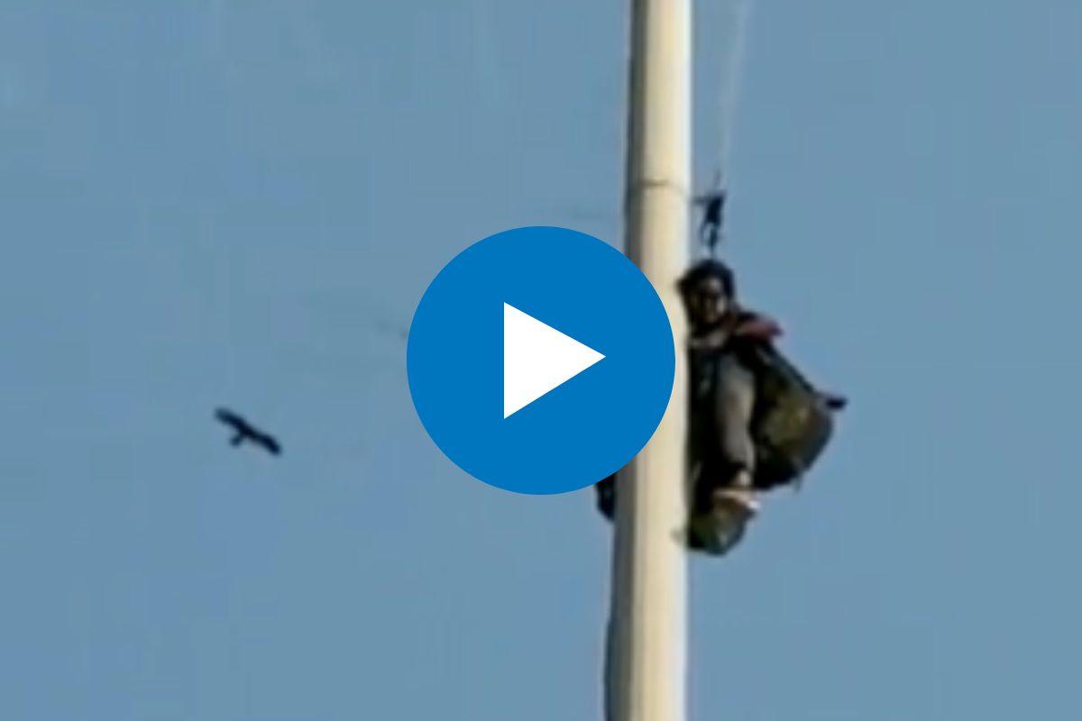 व्हायरल