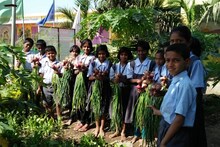 Sangli News : विद्यार्थ्यांना शाळेत लागली शेतीची गोडी, पाहा छोट्यांची कमाल!