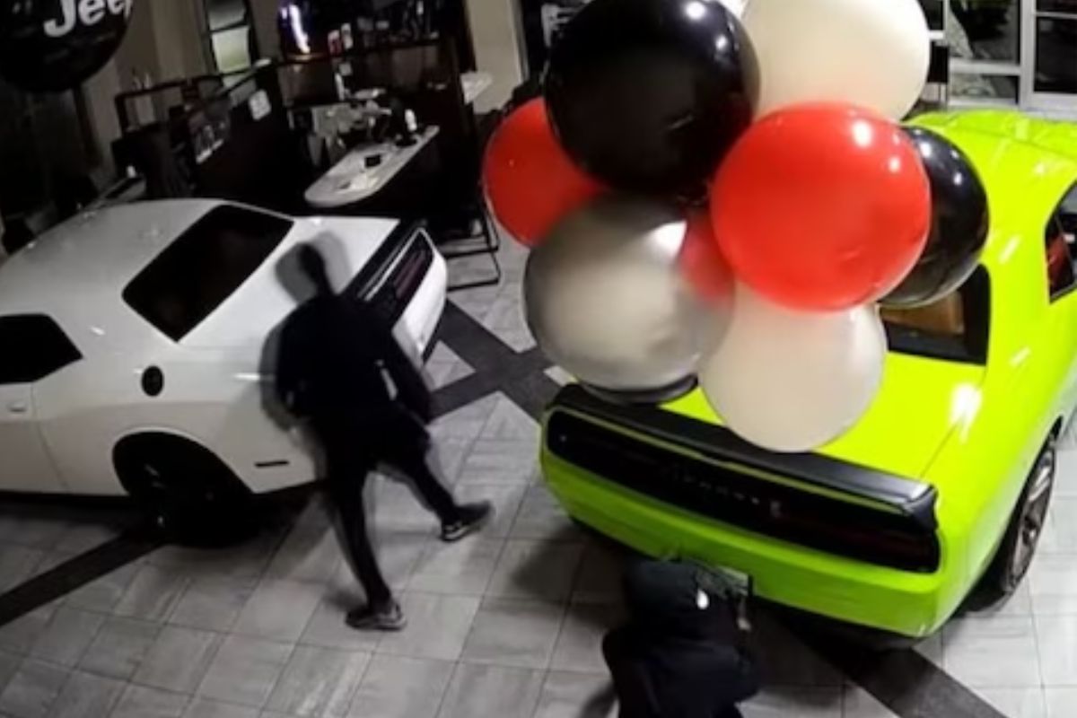 45 सेकंदात चोरल्या 6 महागड्या कार; करोडोंमध्ये होती किंमत, चोरीची पद्धत पाहून चक्रावून जाल..VIDEO