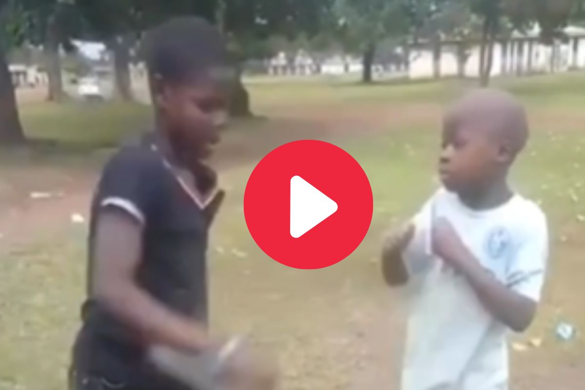 व्हायरल व्हिडीओ