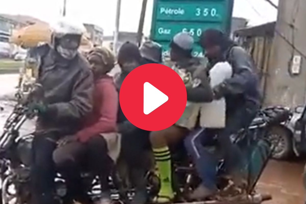 व्हायरल व्हिडीओ