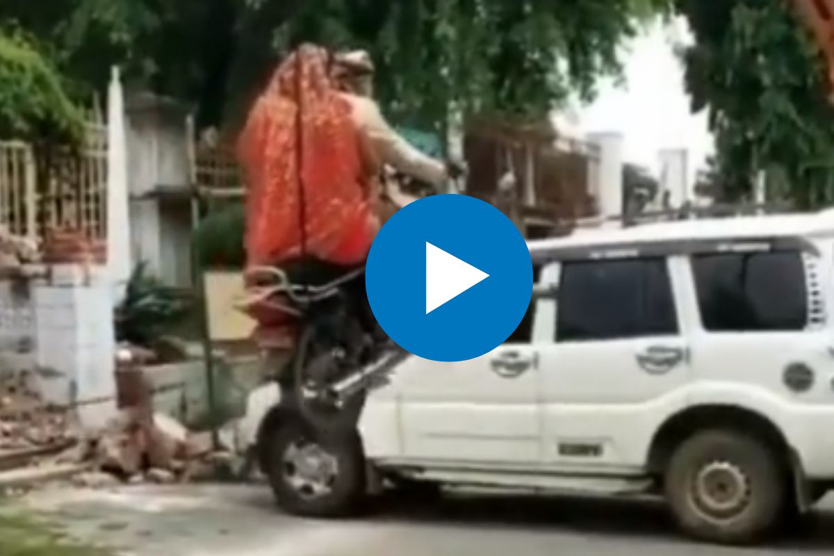 व्हायरल व्हिडीओ