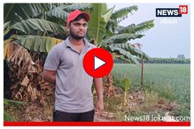 नोकरीपेक्षा शेती भारी; केळीच्या शेतीतून वार्षिक 25 लाखांची कमाई! पाहा Video