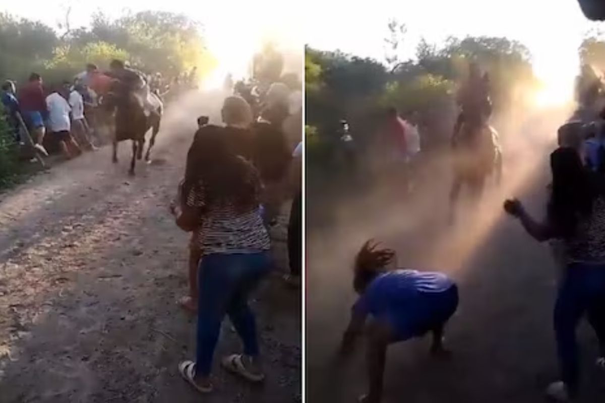 अचानक रेसमध्ये धावणाऱ्या घोड्याच्या समोर आली महिला; वेगात प्राण्याने केली भयानक अवस्था, VIDEO