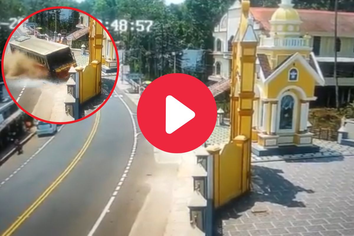 व्हायरल