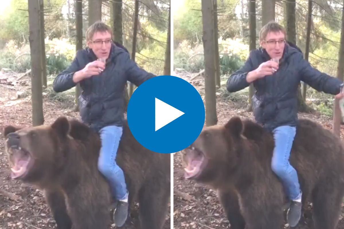 व्हायरल व्हिडीओ