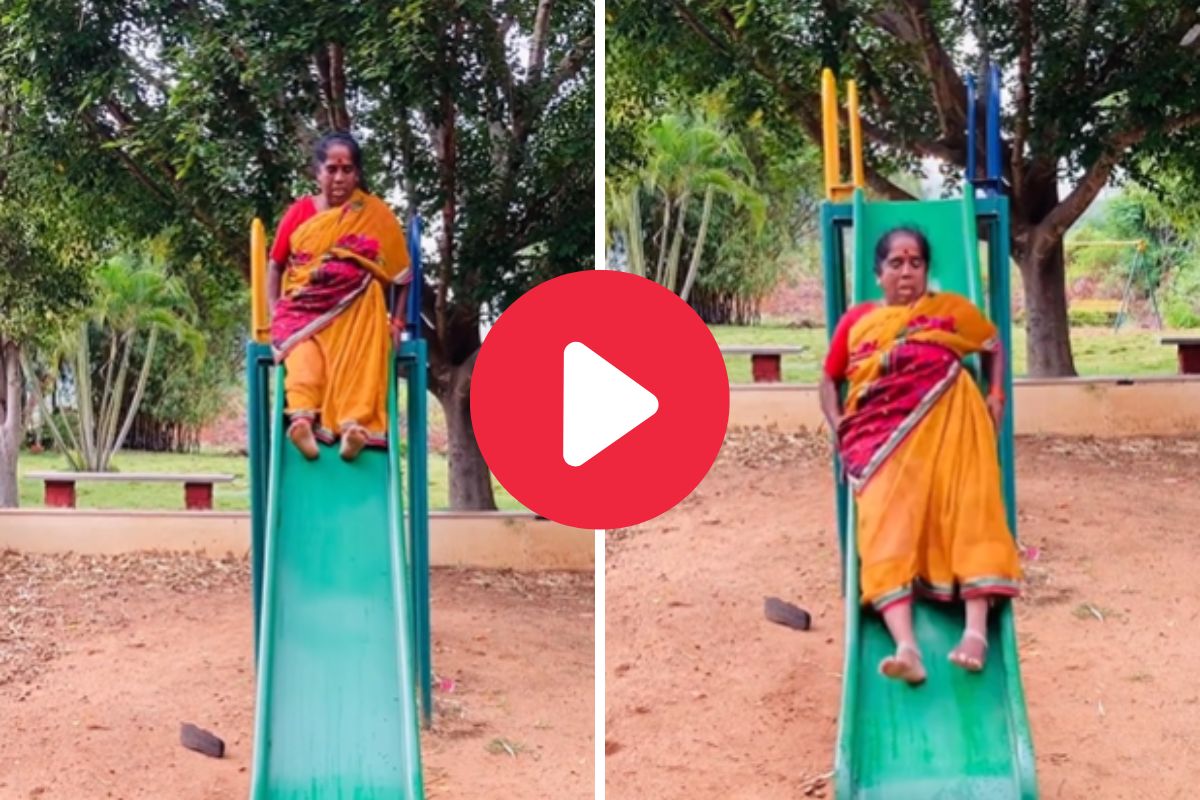 व्हायरल व्हिडीओ