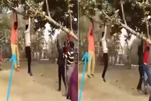 .VIDEOफांदीला लटकून घेत होता झोका; अचानक असं काही घडलं की मित्रांनाही हसू आवरेना