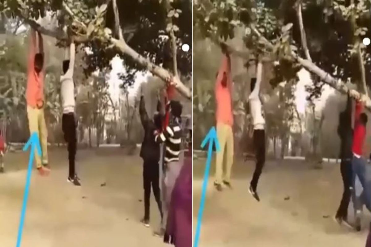 झाडाच्या फांदीला लटकून घेत होता झोका; अचानक तरुणासोबत असं काही घडलं की मित्रांनाही हसू आवरेना..VIDEO