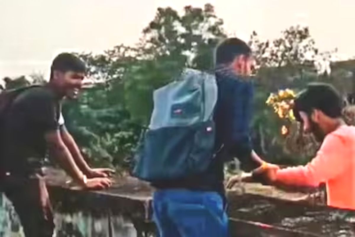 व्हायरल