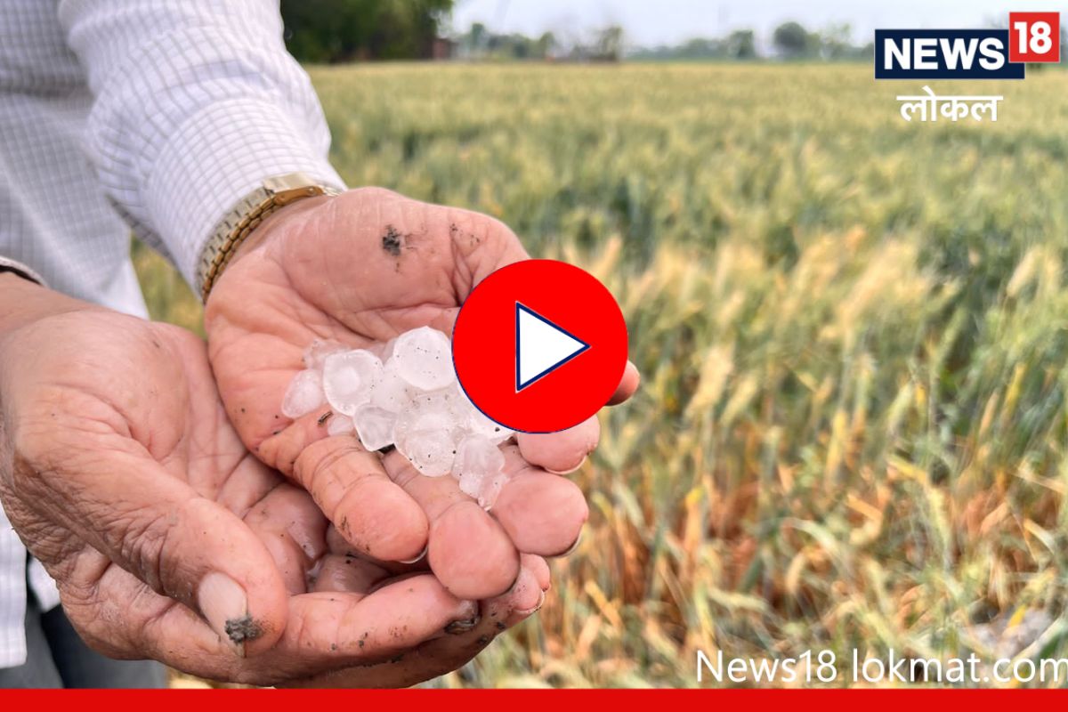 Beed News: गारपीटीनं बीडला झोडपलं, शेतकऱ्यांचा तोंडचा घास हिरावला, पाहा Video