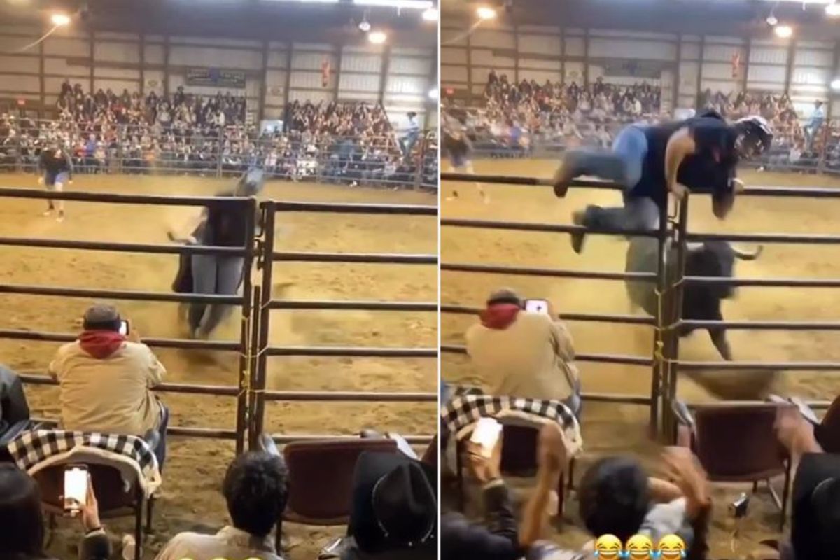 वळूसोबत पंगा घेत होती महिला; भोगावा लागला अतिशय भयानक परिणाम, झाली अशी अवस्था..VIDEO