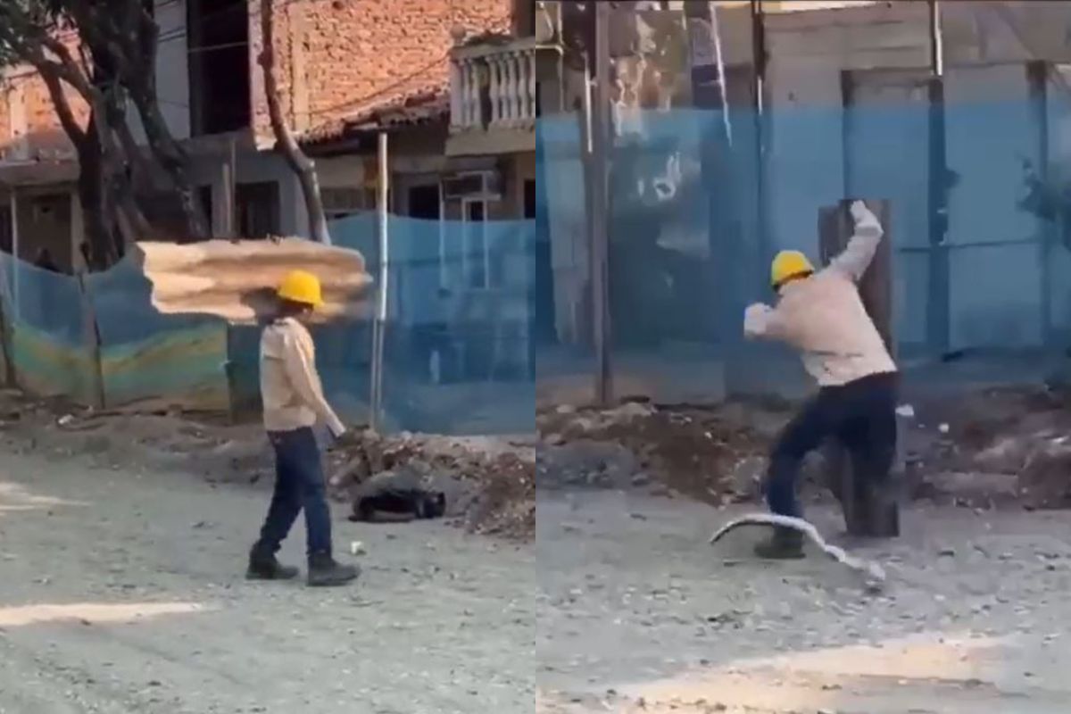 रस्त्यावर पडलेले पैसे उचलत होता व्यक्ती; अचानक साप आला अन् झाली भलतीच फजिती..पाहा VIDEO