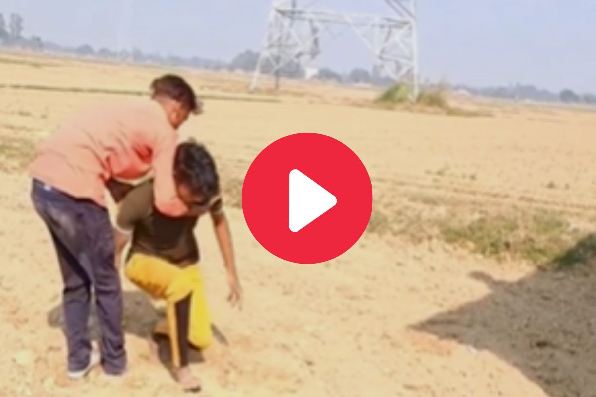 व्हायरल व्हिडीओ