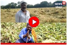 गारपीटीनं शेतकऱ्यांची पिकं आडवी, पाहणी करताच पालकमंत्र्यांनी दिले आदेश, Video