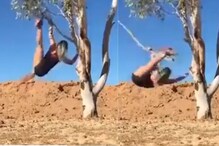 झाडावर स्टंट करणं भोवलं; फांदी तुटताच उंचावरुन धाडकन खाली पडली महिला, घटनेचा Live Video