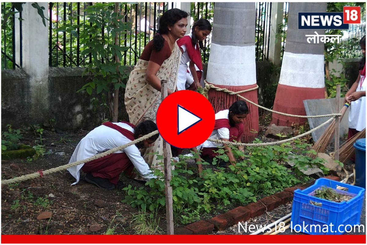Wardha News: पर्यावरणाचे धडे देणारी शाळा, हरितसेनेची राष्ट्रीय पातळीवर दखल, पाहा Video